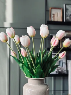VIAMAJA Tulipaner – Flere farver New