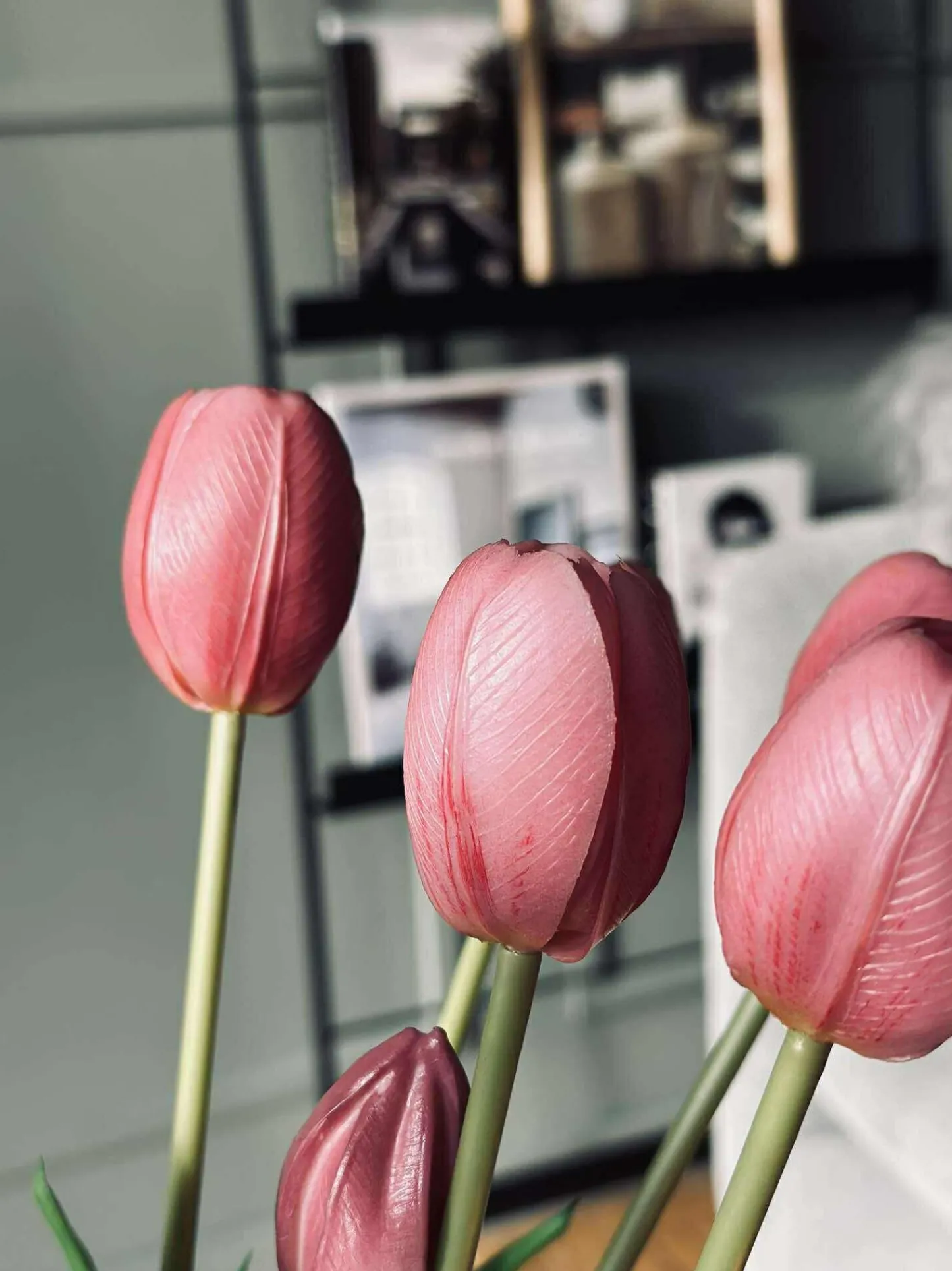 VIAMAJA Tulipaner – Flere farver New
