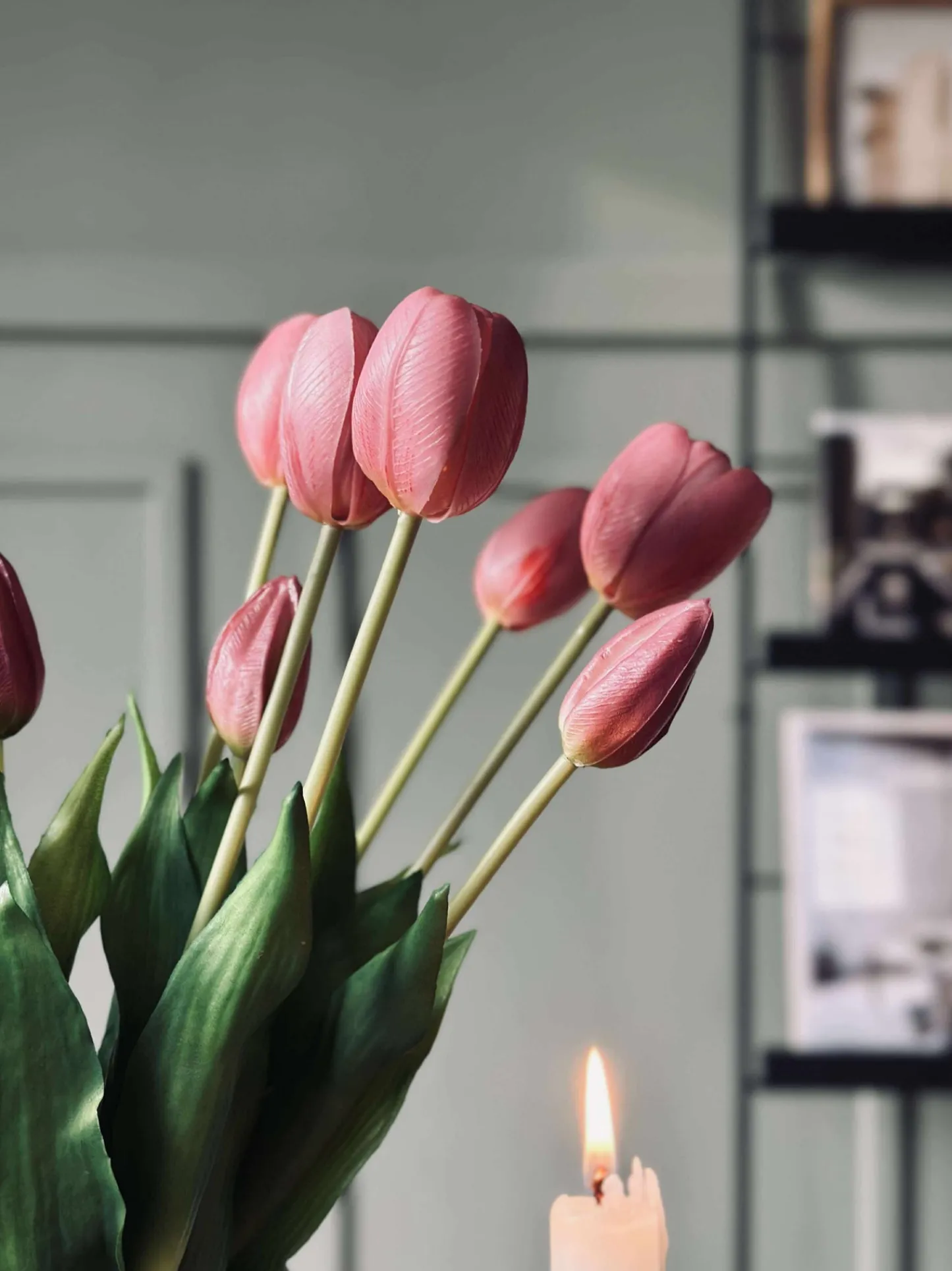 VIAMAJA Tulipaner – Flere farver New