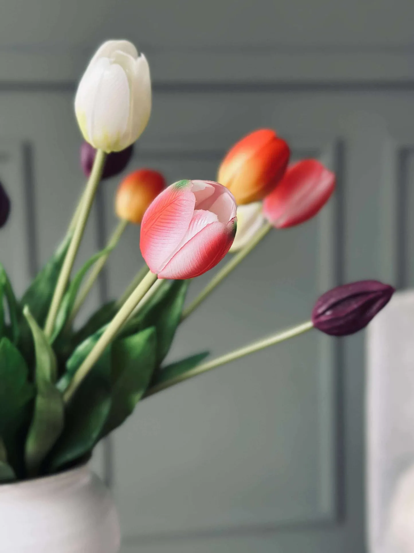 VIAMAJA Tulipaner – Flere farver New