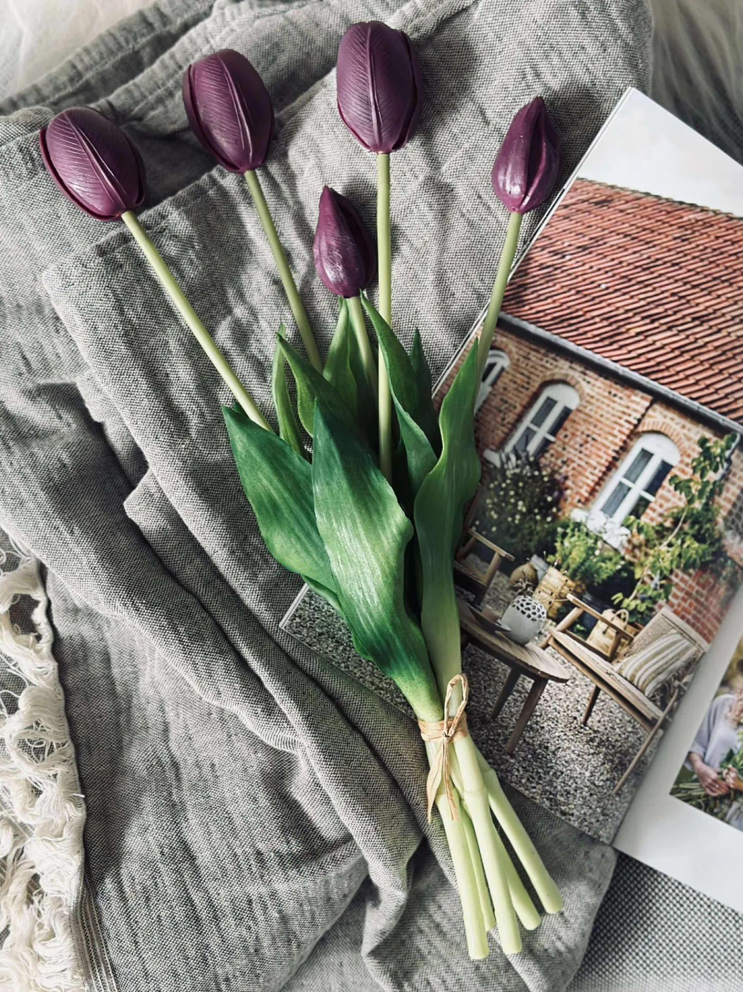 VIAMAJA Tulipaner – Flere farver New