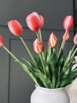 VIAMAJA Tulipaner – Flere farver New
