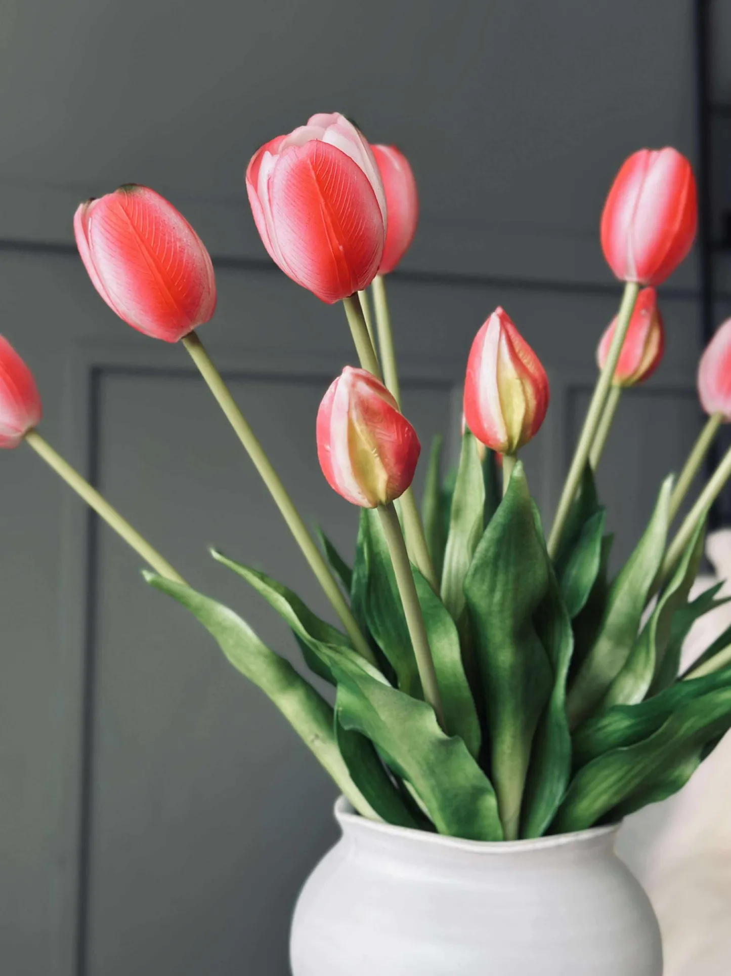 VIAMAJA Tulipaner – Flere farver New