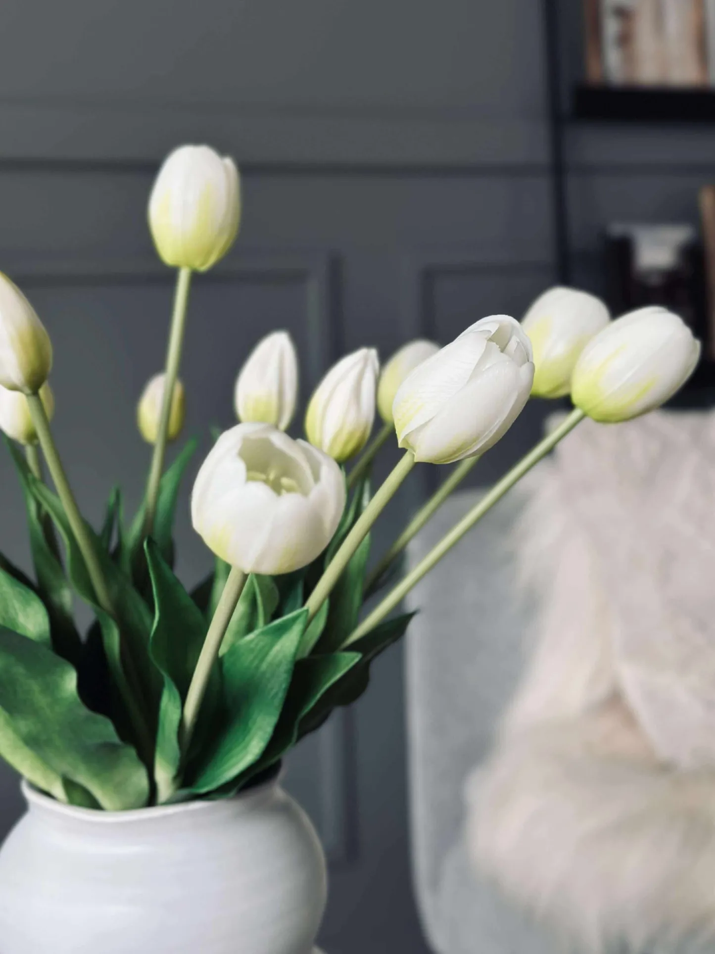VIAMAJA Tulipaner – Flere farver New