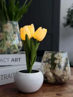 VIAMAJA Tulipaner med lys - Hvid Clearance