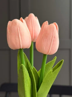 VIAMAJA Tulipaner med lys - Rosa Hot