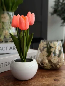 VIAMAJA Tulipaner med lys - Rosa Hot