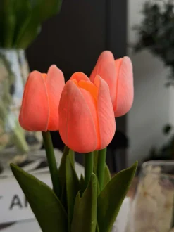 VIAMAJA Tulipaner med lys - Rosa Hot