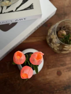 VIAMAJA Tulipaner med lys - Rosa Hot