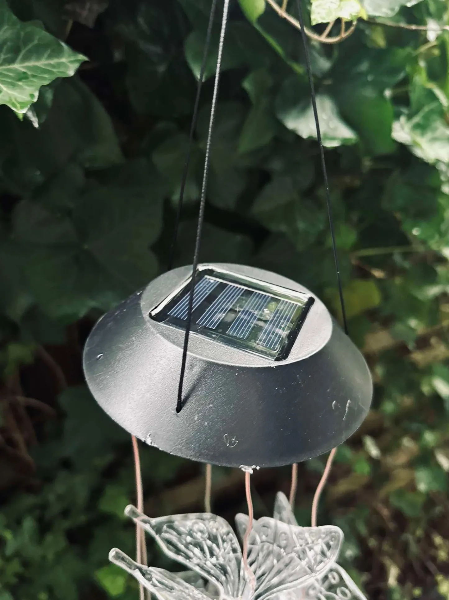 VIAMAJA Uro med solar - Sommerfugle Outlet