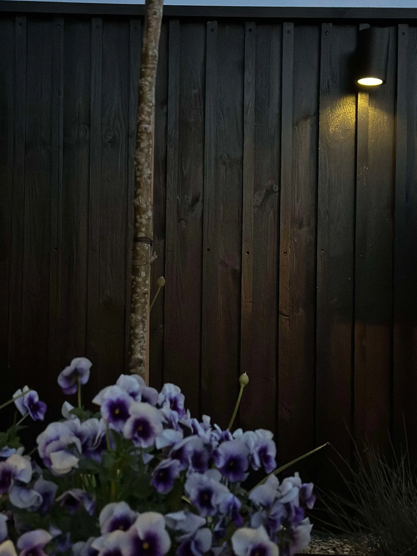 VIAMAJA Væglampe med solceller Discount