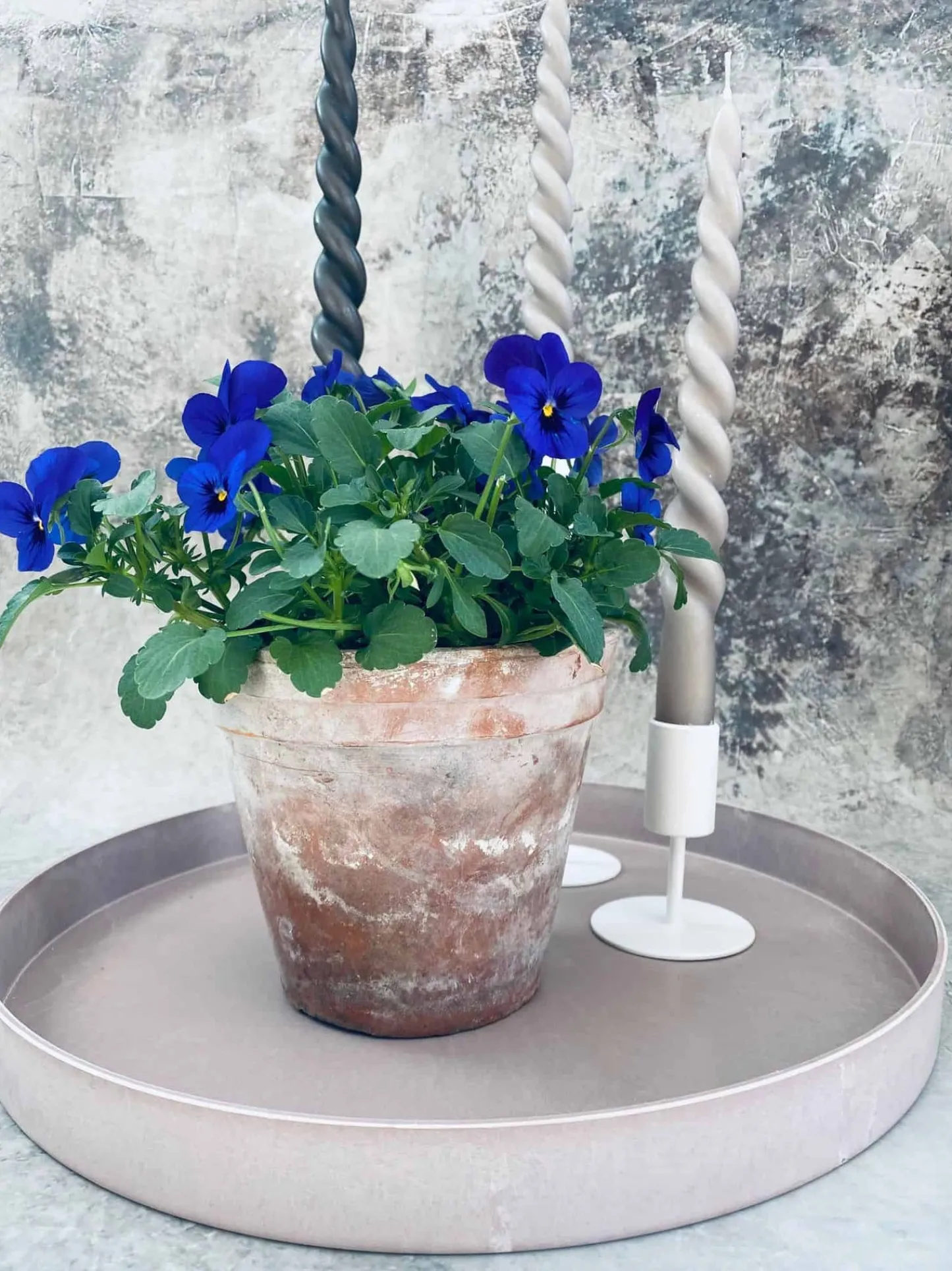 VIAMAJA Simple – White – Lille Outlet